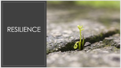 resilience