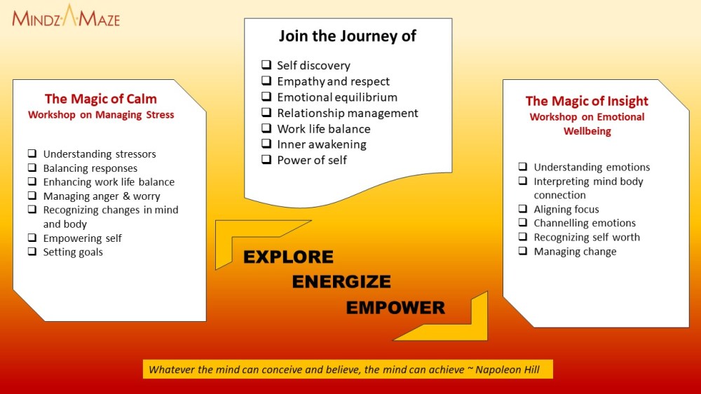 Mindzamaze Workshops